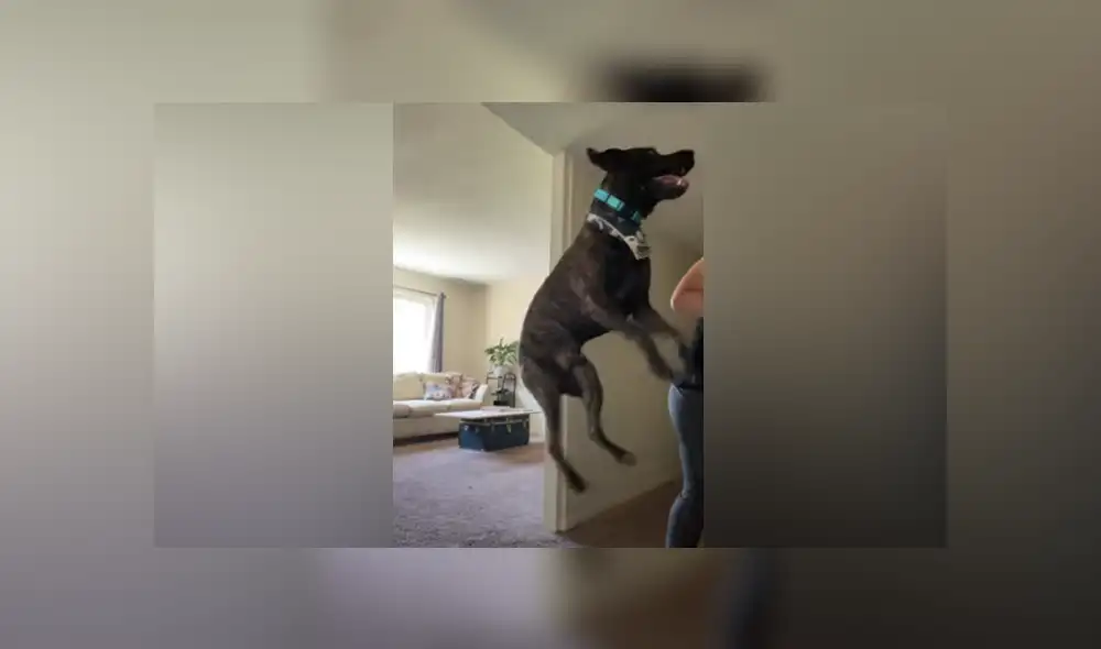 Desliza hacia la izquierda para ver las imágenes del viral de YouTube. Desliza hacia la izquierda para ver las imágenes del viral de YouTube.