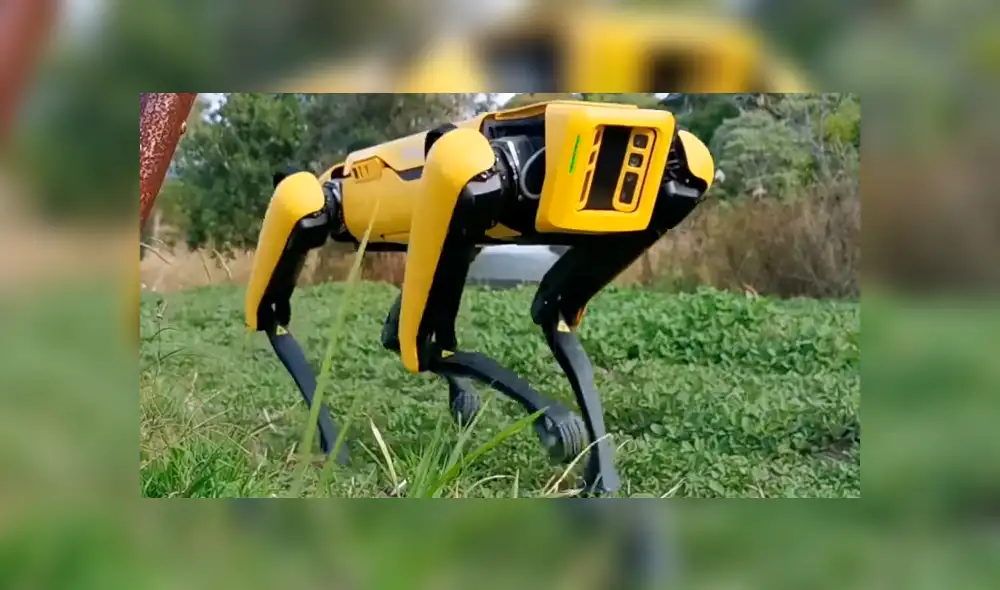 Desliza la imagen compartida en YouTube para verlas todas. (Foto: Rocos)