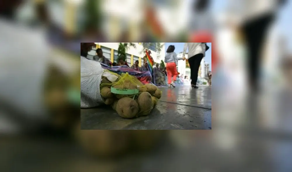 Moratoria a transgénicos: Denuncian presiones del Ejecutivo para favorecer a grandes empresas Moratoria a transgénicos: Denuncian presiones del Ejecutivo para favorecer a grandes empresas