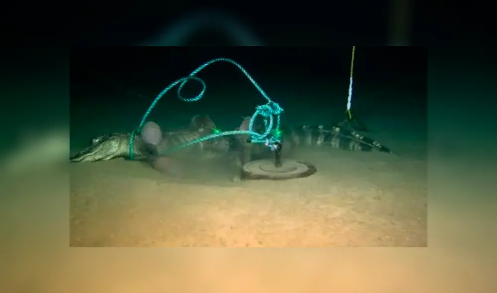 Desliza hacia la izquierda para ver a las criaturas que aterraron a miles en YouTube.