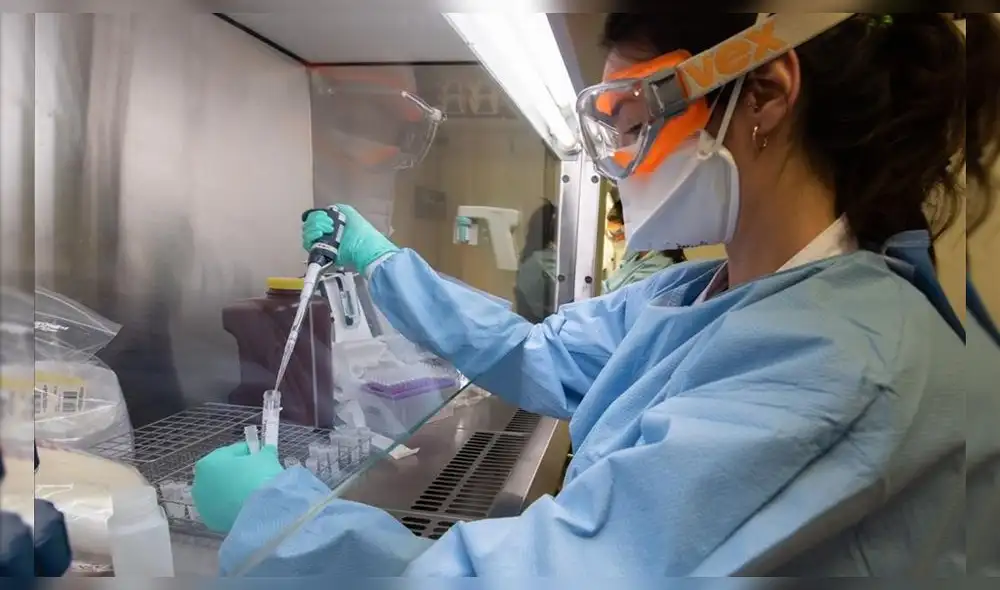 El estudio es sobre plasma debido a que los anticuerpos de personas curadas de coronavirus lograron combatirlo. (Foto: República) El estudio es sobre plasma debido a que los anticuerpos de personas curadas de coronavirus lograron combatirlo. (Foto: República)