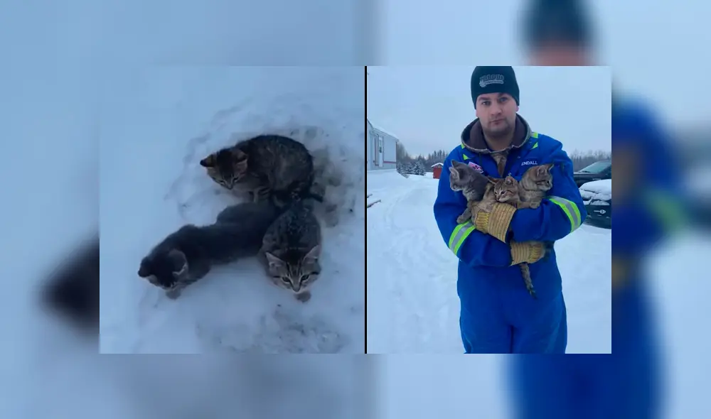 El hombre publicó en Facebook este tierno video que se hizo viral.