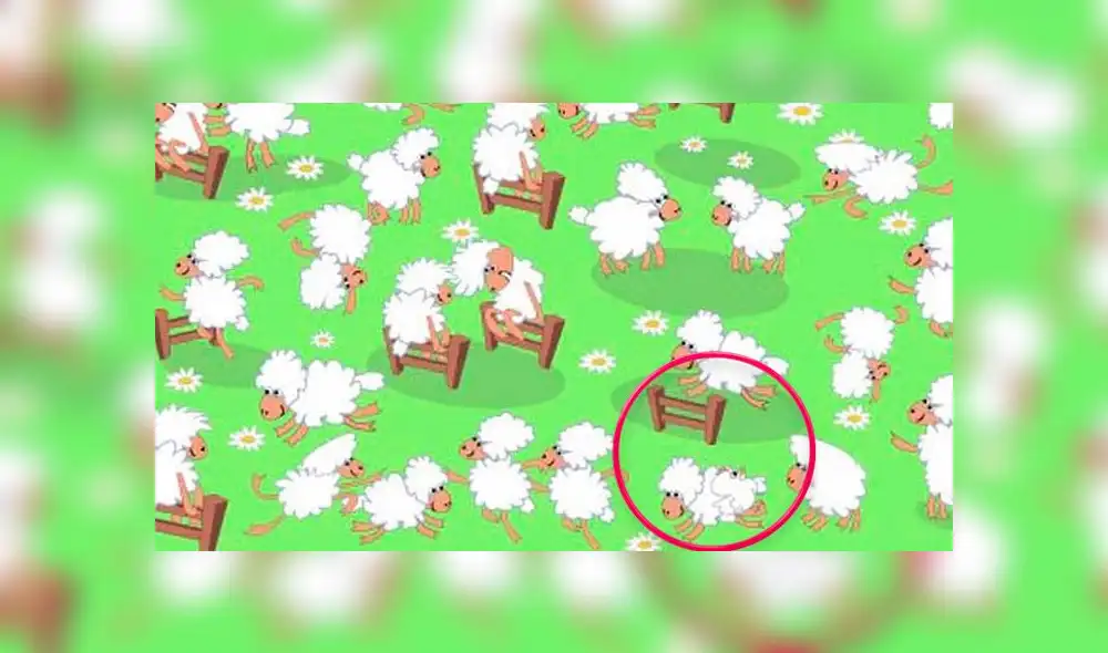 Desliza las imágenes para ver la respuesta de este complicado reto visual. Foto: Facebook Desliza las imágenes para ver la respuesta de este complicado reto visual. Foto: Facebook