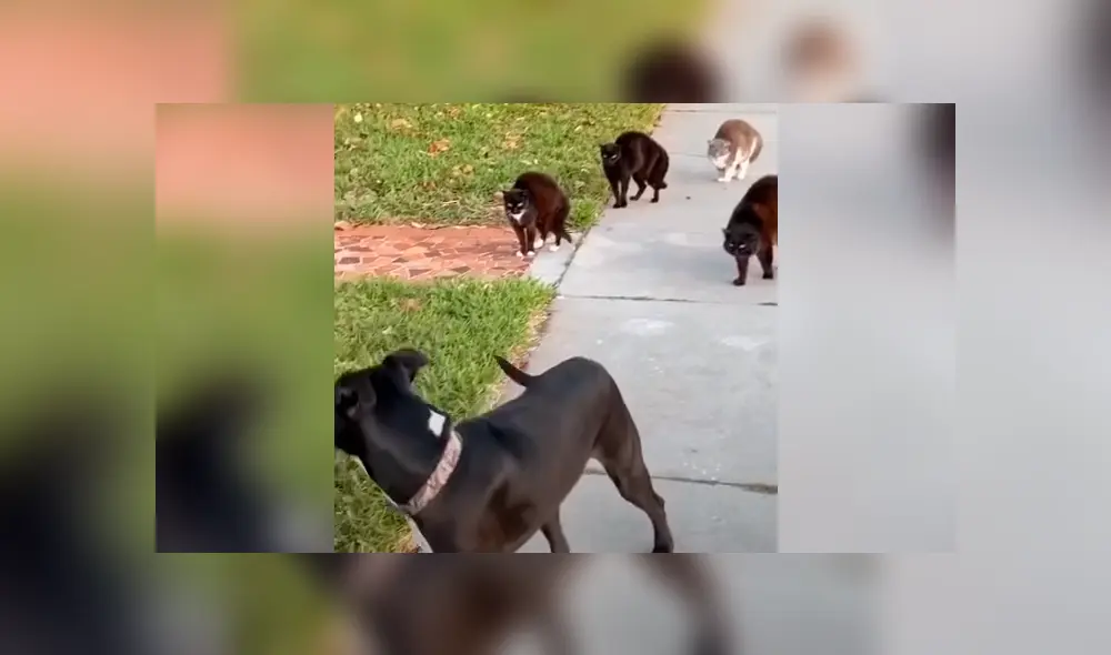 Desliza la imagen de Facebook para ver todas las fotos. Desliza la imagen de Facebook para ver todas las fotos.