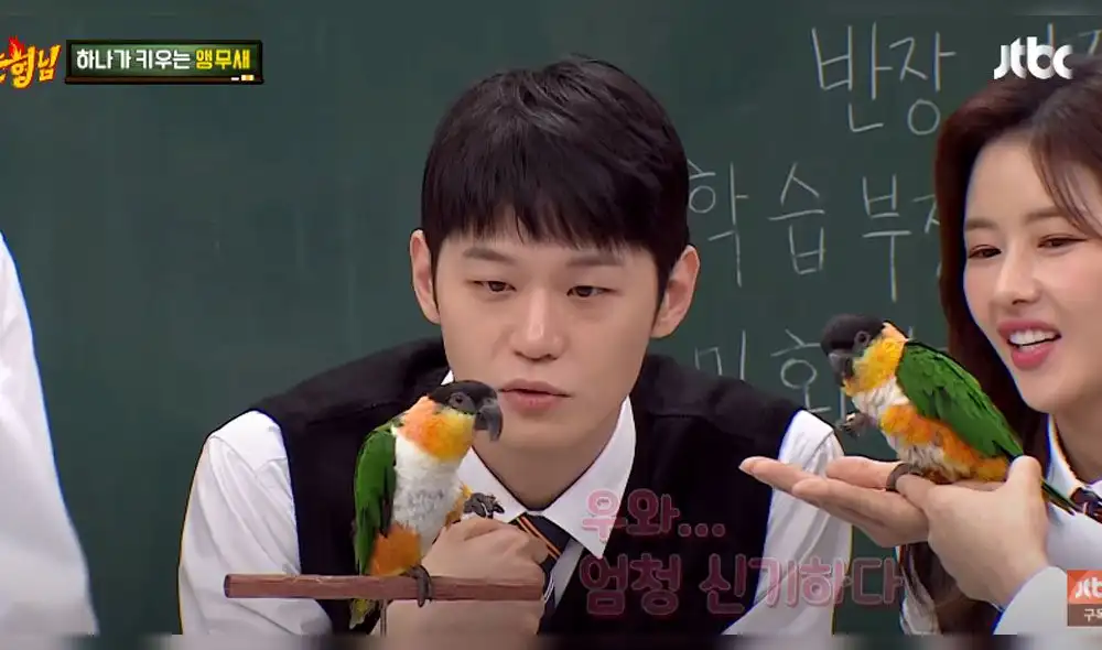 Sorry Sorry: Loro de Park Ha Na Sorry Sorry: Loro de Park Ha Na