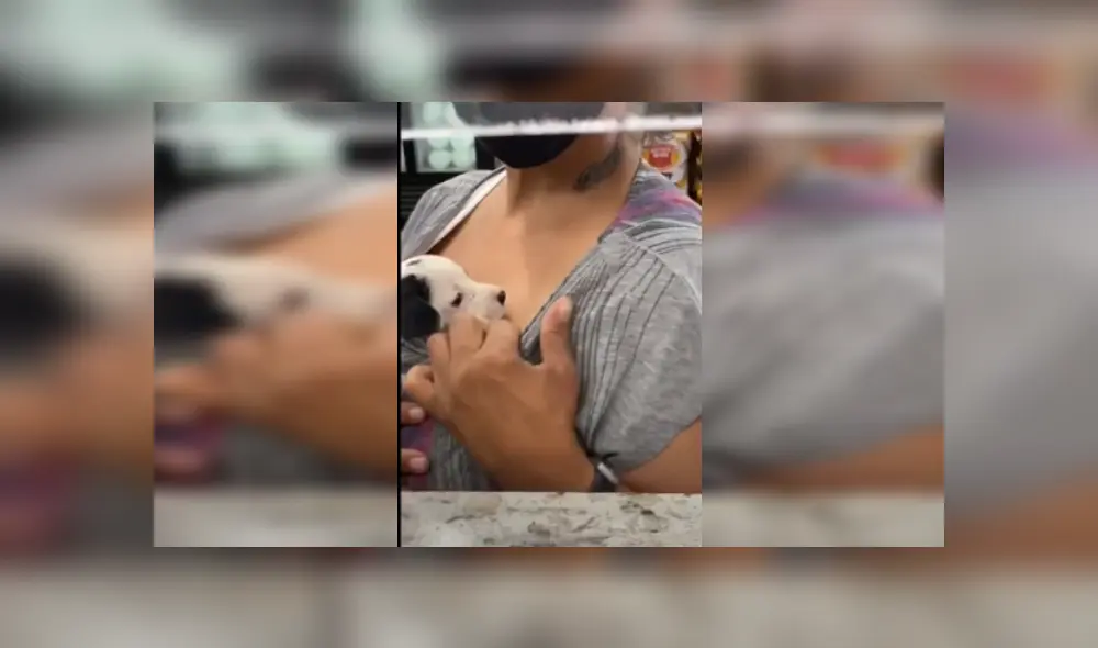 Desliza las imágenes para ver más detalles de esta conmovedora escena que es viral en YouTube.