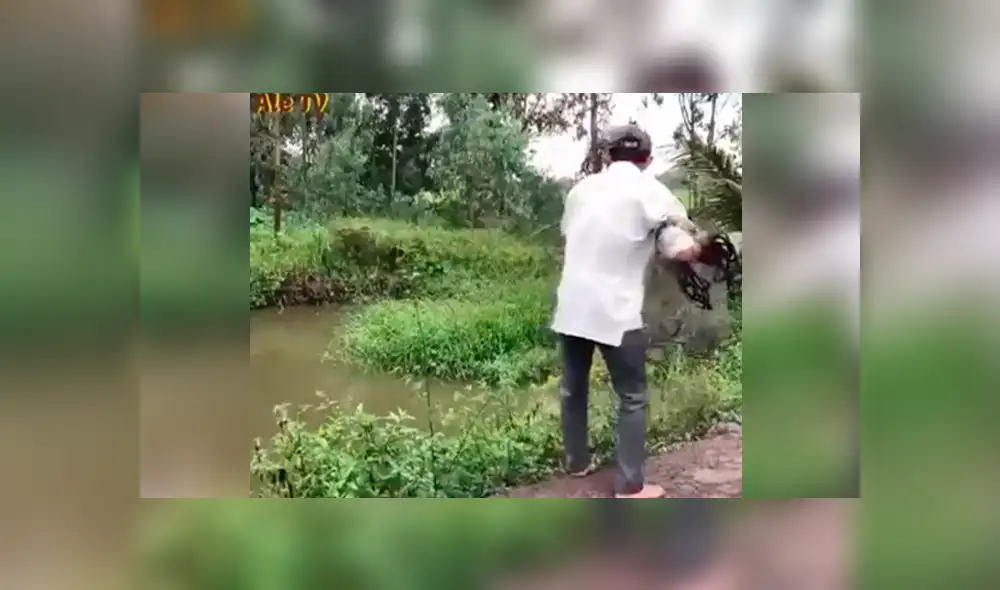 YouTube viral: misterioso lago fue visitado por pescador que arrojó sus redes y atrapó esto [VIDEO]