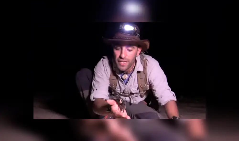 Desliza hacia la izquierda para ver la gigantesca serpiente que se hizo viral en un video de YouTube. Desliza hacia la izquierda para ver la gigantesca serpiente que se hizo viral en un video de YouTube.