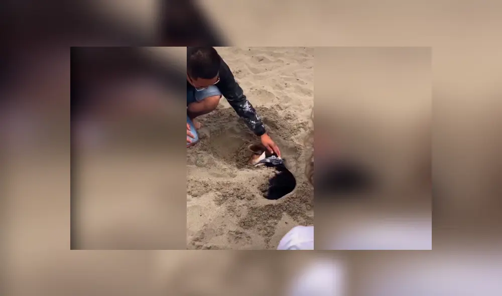 Desliza las imágenes hacia la izquierda para conocer el susto que se llevaron unos jóvenes al descubrir a un perro en la arena.