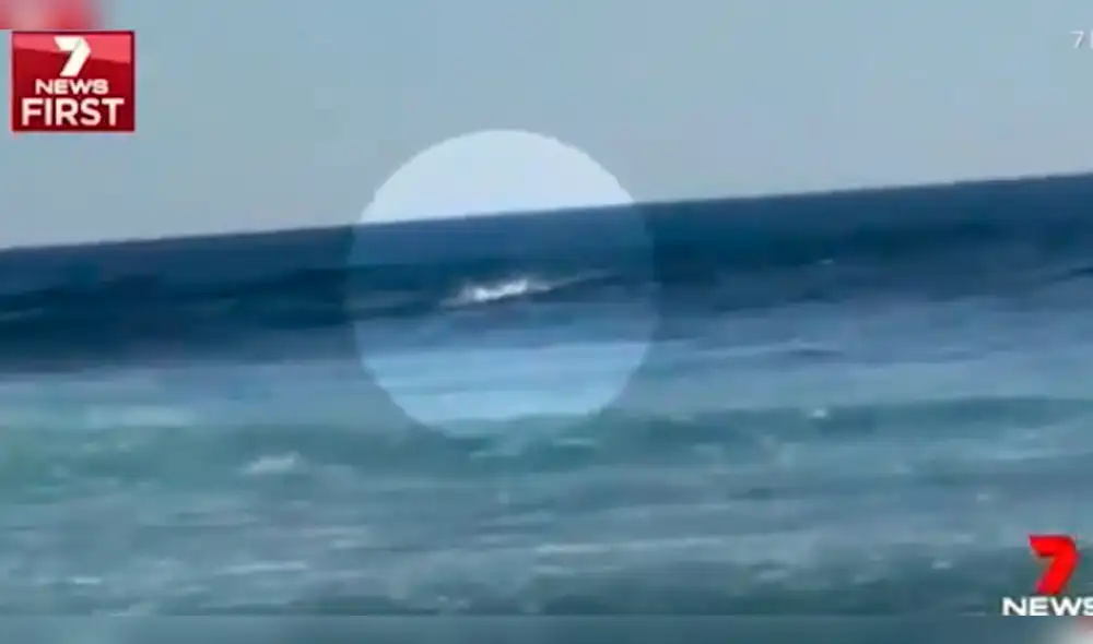 YouTube: Captan ataque de tiburón a surfista en Australia [VIDEO] 