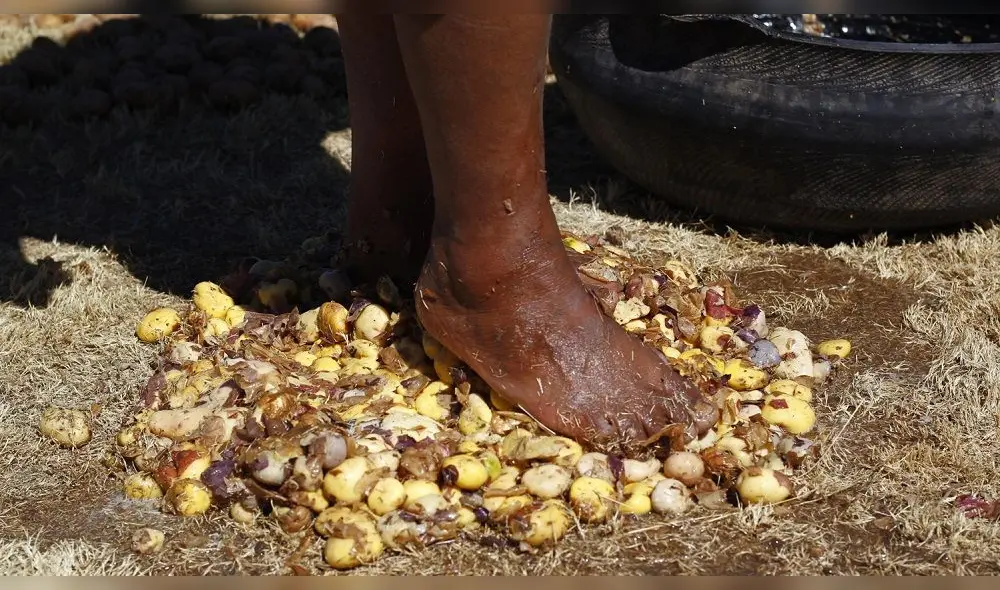 Hombres y mujeres deben soportar el intenso frío a la hora de elaborar el chuño y la tunta. Foto: Carlos Cisneros.
