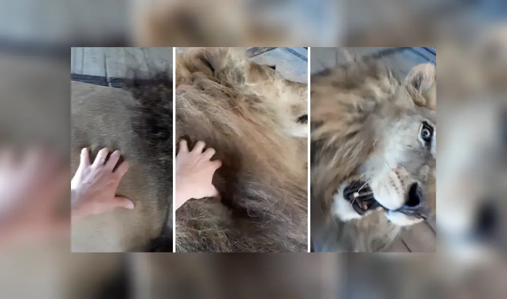 Desliza hacia la izquierda para ver las imágenes del viral de Facebook. Foto: Captura. Desliza hacia la izquierda para ver las imágenes del viral de Facebook. Foto: Captura.