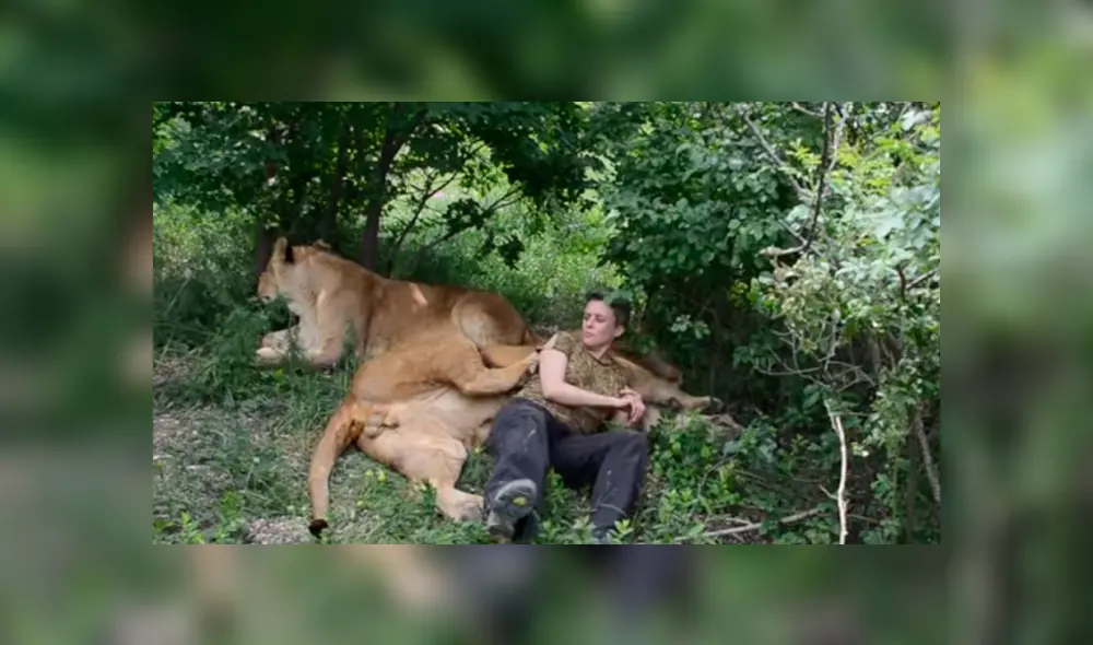 Desliza hacia la izquierda para ver el encuentro de la mujer con dos leones. Imágenes virales de YouTube.
