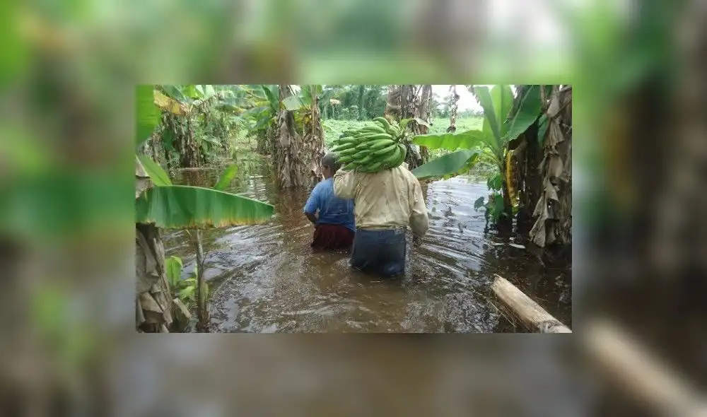 Transfieren S/ 37 millones al Ministerio de Agricultura para atender 22 emergencias 