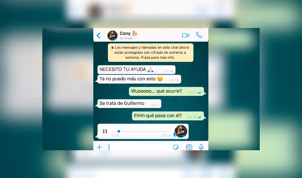WhatsApp: Joven hace locura de amor por chica sin esperar un oscuro secreto de ella y su amigo[VIDEO]
