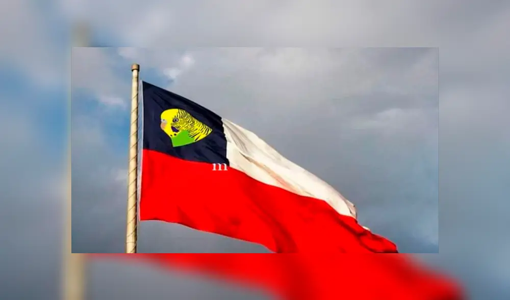 Vía Facebook: divierte con la mejor selección de memes de 'Adiós Chimuelo', el video del momento [FOTOS]