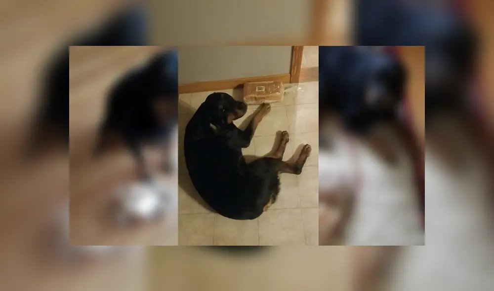 Desliza para ver los detalles de esta historia que se viralizó en Facebook. Foto: Captura. Desliza para ver los detalles de esta historia que se viralizó en Facebook. Foto: Captura.