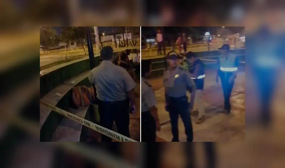 Joven fue hallada muerta en alameda de Los Olivos. Foto: URPI-GLR