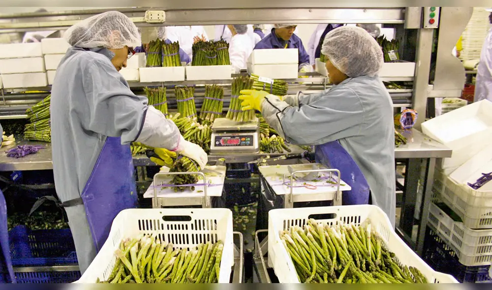 Potencial agroexportador. La culminación de Palo Redondo permitirá captar 1500 millones de divisas al año.