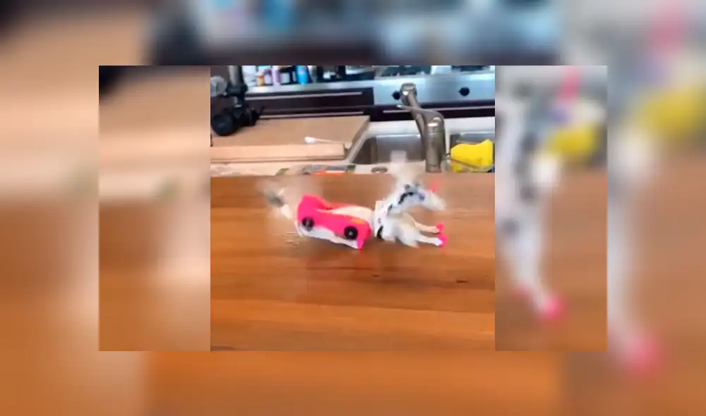 Desliza para verlas todas las imágenes de TikTok. Foto: captura