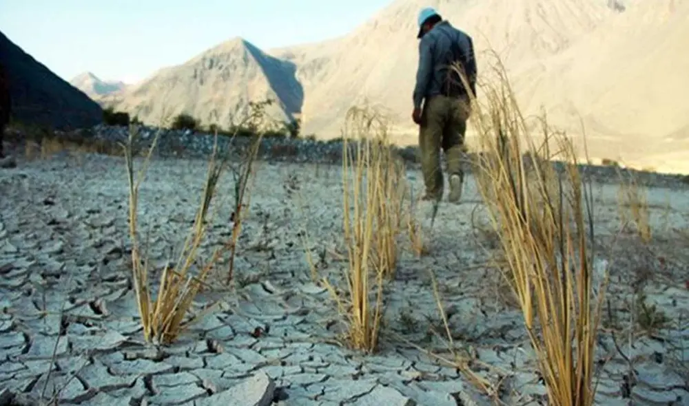 Sequía afecta a agricultores de la sierra sur. Foto: La República.