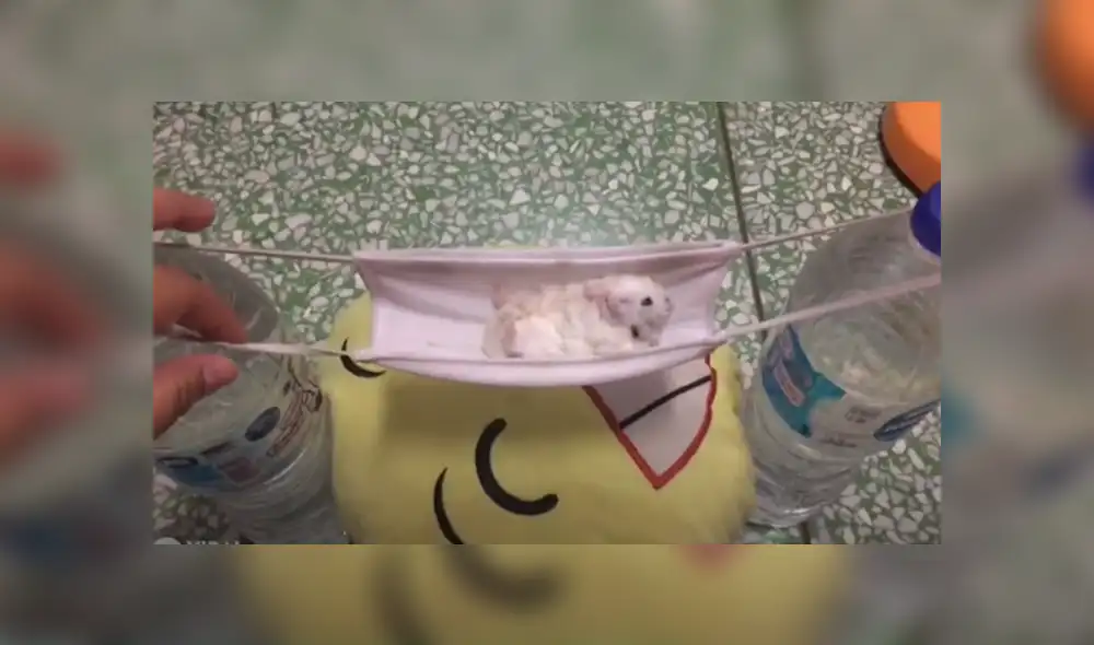 Desliza hacia la izquierda para ver las imágenes del viral de YouTube. Foto: Captura. Desliza hacia la izquierda para ver las imágenes del viral de YouTube. Foto: Captura.