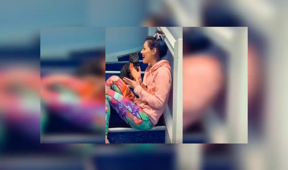 Desliza las imágenes para conocer el comportamiento de un gato para impedir que su dueña siga cantando.