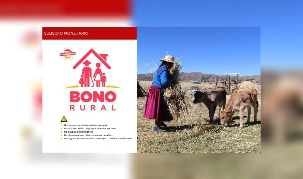 Bono rural: Consulta padrón oficial de beneficiarios Bono rural: Consulta padrón oficial de beneficiarios
