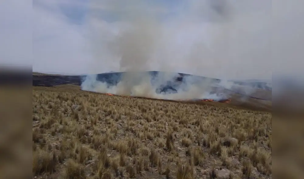 Incendio forestal en comunidad de Cusco. Foto: Difusión