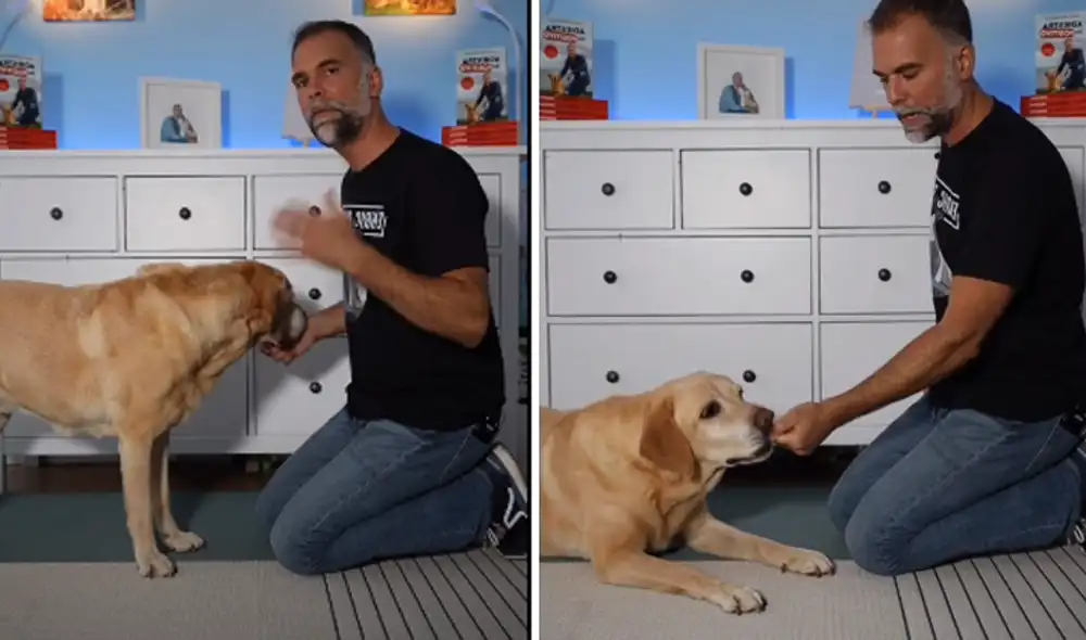 Desliza hacia la izquierda para ver las imágenes del video viral. Foto: captura de YouTube.