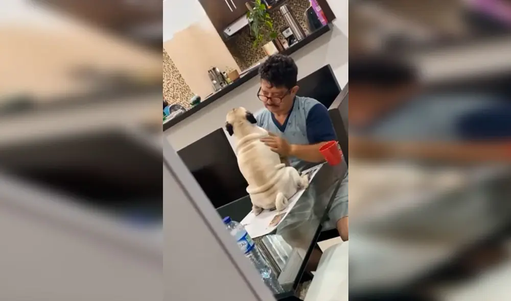 Desliza las imágenes para apreciar el amoroso momento entre un hombre con la mascota de su hijo. Foto: Captura de Facebook Desliza las imágenes para apreciar el amoroso momento entre un hombre con la mascota de su hijo. Foto: Captura de Facebook