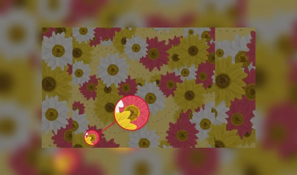 Un nuevo desafío viral de Facebook ha provocado más de un dolor de cabeza en las redes, debido a su alto nivel de complejidad. ¿Te animas a resolverlo?