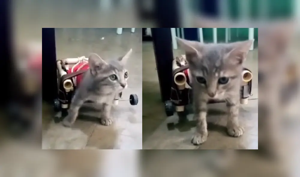 Desliza las imágenes para ver más detalles sobre esta escena que es viral en YouTube.