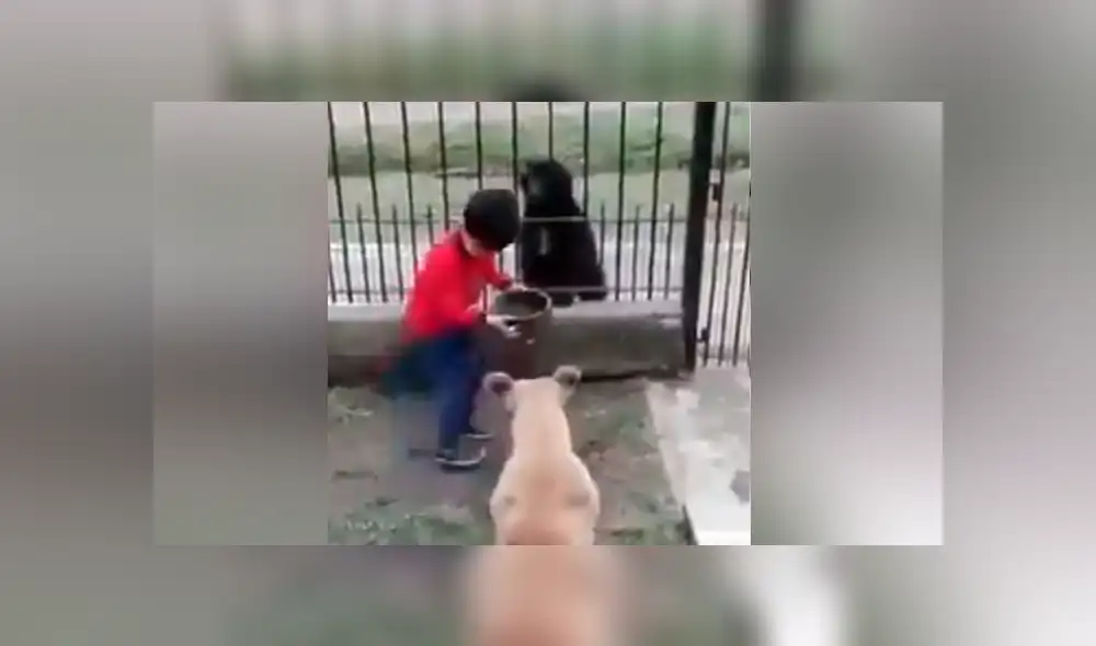 Desliza para ver los momentos más emotivos del video que se hizo viral en Facebook. Desliza para ver los momentos más emotivos del video que se hizo viral en Facebook.