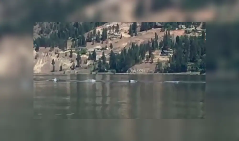 Miles quedaron impactados, luego de ver este video viral de YouTube grabado en Canadá. Foto: Captura.