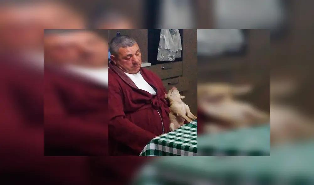 En Facebook, un padre fue descubierto en emotiva escena junto a un perro tras mostrar su rechazo por querer una mascota. En Facebook, un padre fue descubierto en emotiva escena junto a un perro tras mostrar su rechazo por querer una mascota.