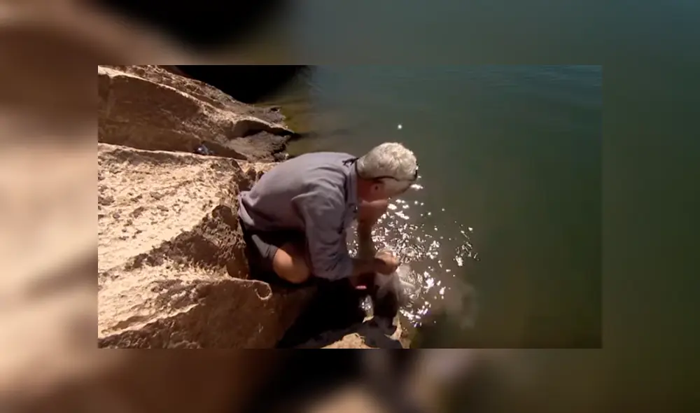 Desliza hacia la izquierda para ver el aspecto de la criatura que atrapó un pescado y se volvió viral en Facebook.