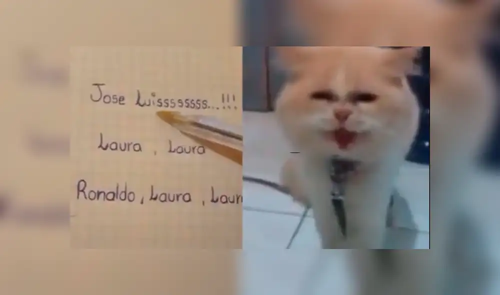 Facebook viral: graban a gato diciendo el nombre de sus dueños y miles se sorprenden [VIDEO]