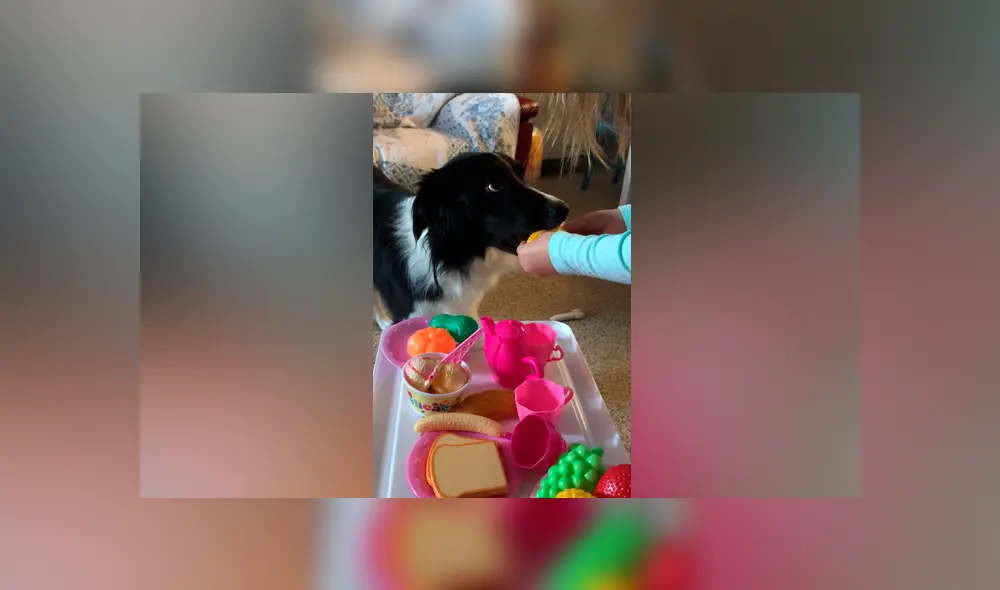 Desliza las imágenes para ver la curiosa escena que registró una madre entre su hija y su perro. Foto: ViralHog/YT Desliza las imágenes para ver la curiosa escena que registró una madre entre su hija y su perro. Foto: ViralHog/YT