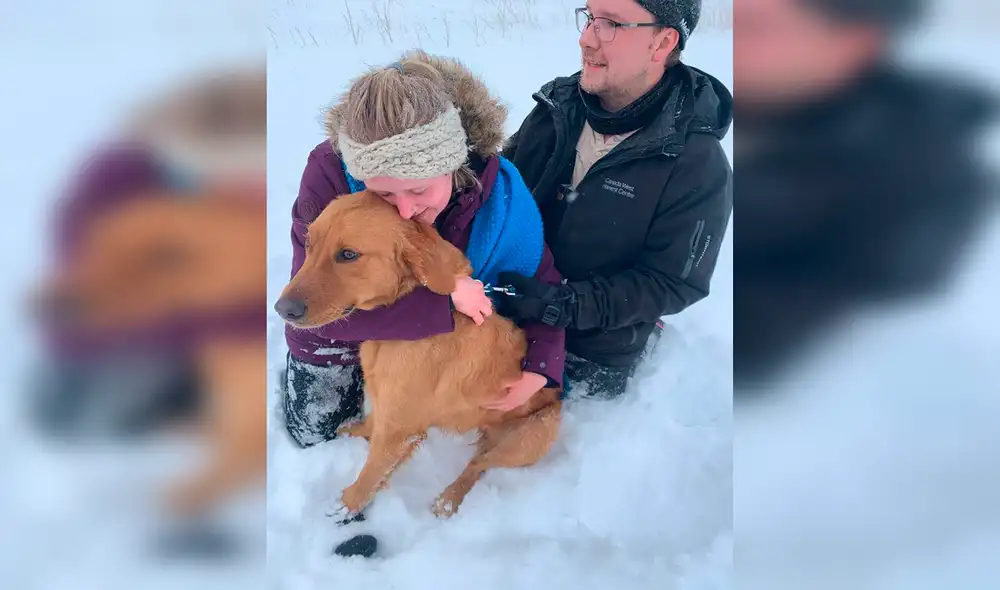 Desliza las imágenes hacia la izquierda para conocer a Louie, el perro que pasó tres días perdido en la nieve. Foto: Facebook