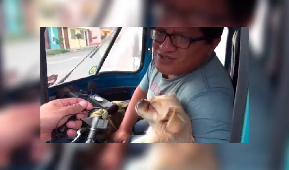 En Facebook, un peruano recorre las calles de Huacho al lado de su inseparable mascota de nombre ‘Pepa’.