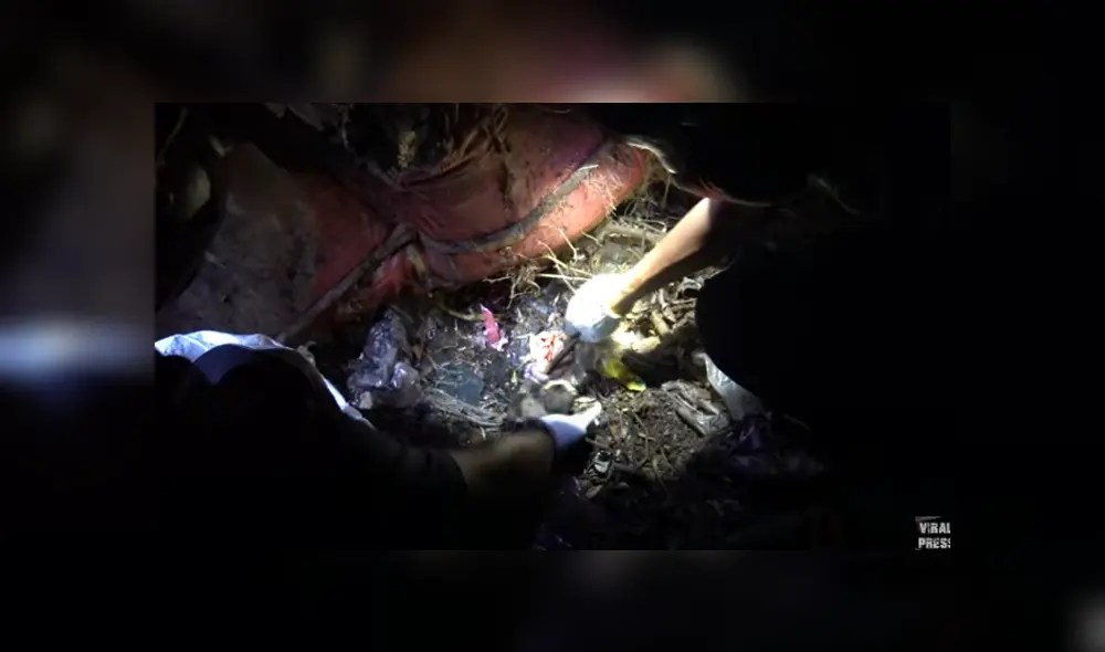 Desliza hacia la izquierda para ver las imágenes del viral de YouTube.