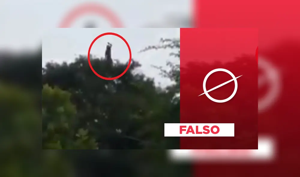 Video es viral en YouTube. Las escalofriantes imágenes asustaron a miles en las redes sociales; sin embargo, se acaba de revelar la verdad. Foto: Captura.