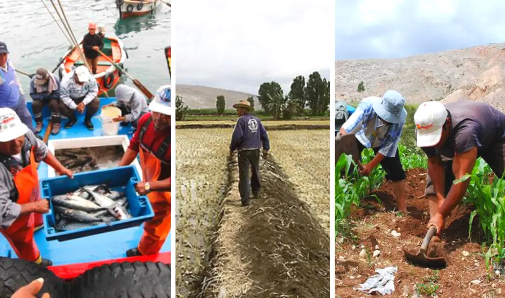 Enfen alerta que La Niña costera estará en Perú hasta febrero de 2023: ¿qué implica? | Senamhi | DHN | IGP | ANA | Imarpe. Foto: composición LR/Industrias Pesqueras/LR/archivo//El Peruano