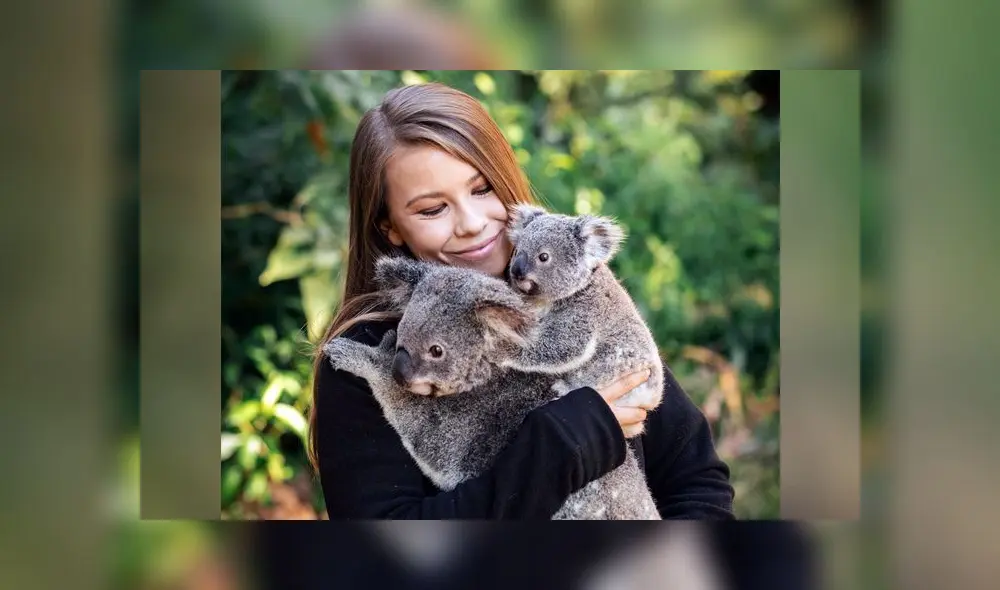 Incendios en Australia: Familia del ‘Cazador de cocodrilos’ ayuda a salvar miles de animales Incendios en Australia: Familia del ‘Cazador de cocodrilos’ ayuda a salvar miles de animales