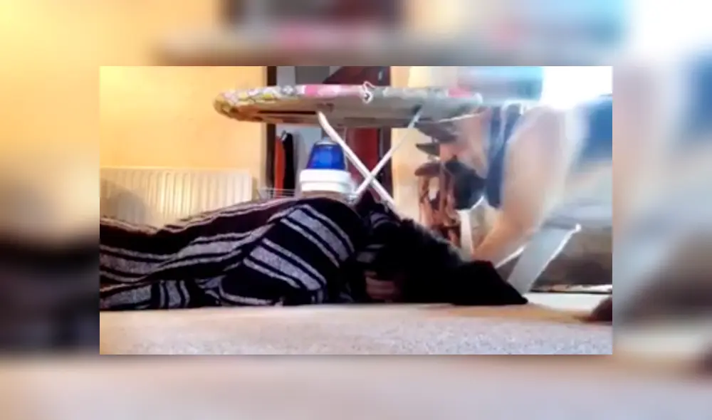 Desliza hacia la izquierda para ver más del video viral. Fotocaptura: YouTube Desliza hacia la izquierda para ver más del video viral. Fotocaptura: YouTube