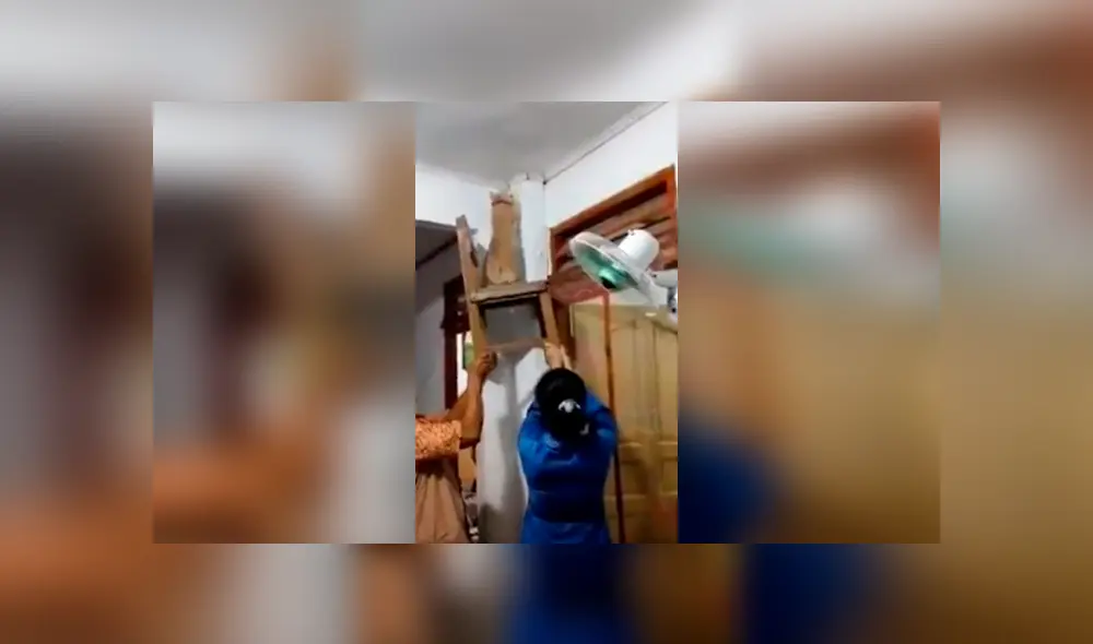 Desliza las imágenes para apreciar el método que aplicó una familia para ayudar a su gato a cazar un pequeño reptil. Foto: Captura.