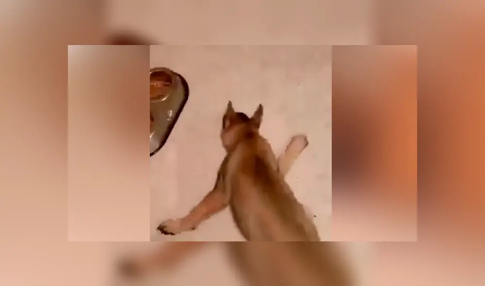 Desliza para ver los momentos más divertidos del video que se hizo viral en Facebook.