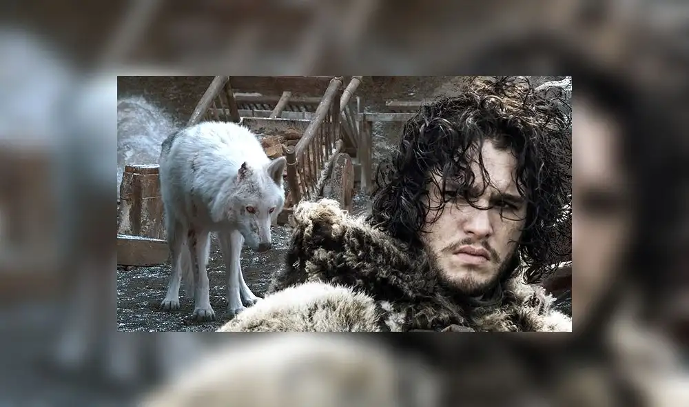 Game of Thrones 8x05: No había presupuesto para que Jon abrace a Ghost