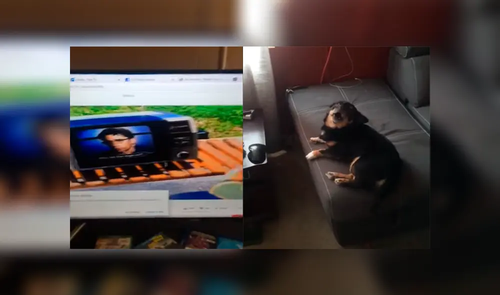 Desliza para ver los momentos más divertidos del video que se hizo viral en YouTube. Desliza para ver los momentos más divertidos del video que se hizo viral en YouTube.